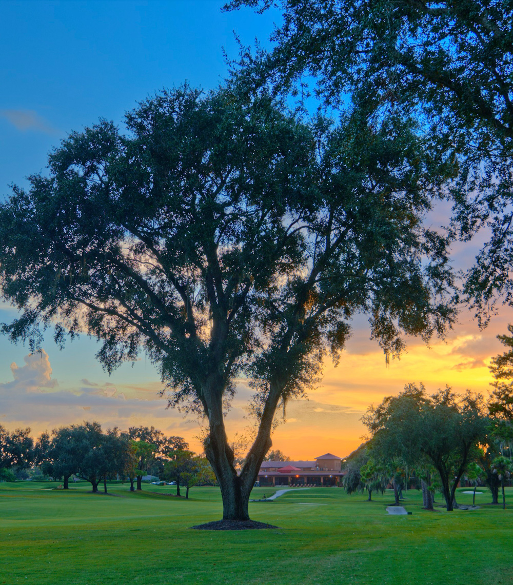 Sara Bay Country Club — photograph from its existing club portal